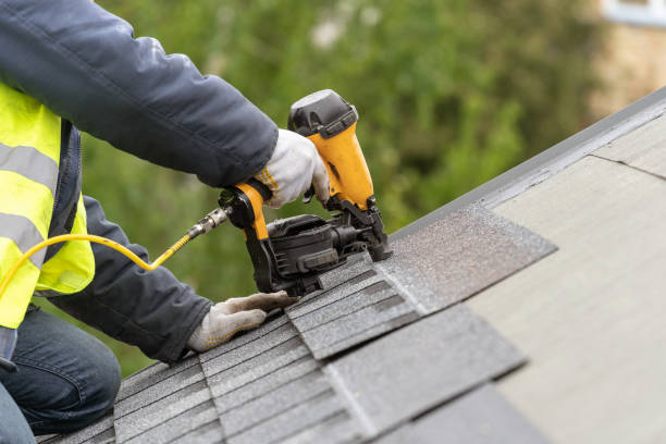 Best Roof Maintenance and Cleaning  in Jackson, MI