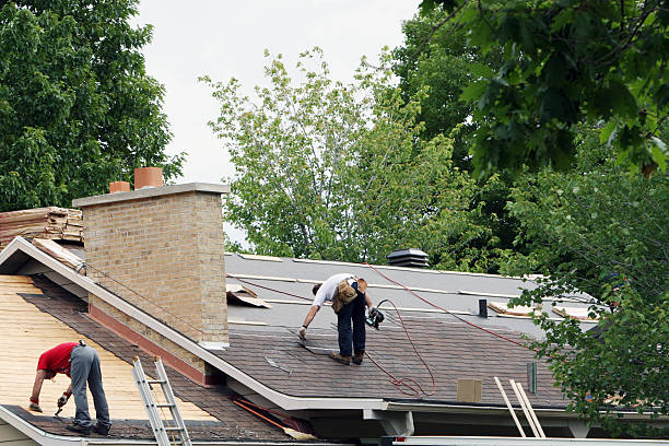 Best Roof Coating Services  in Jackson, MI