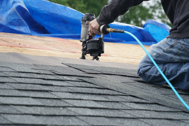 Best Chimney Flashing Repair  in Jackson, MI